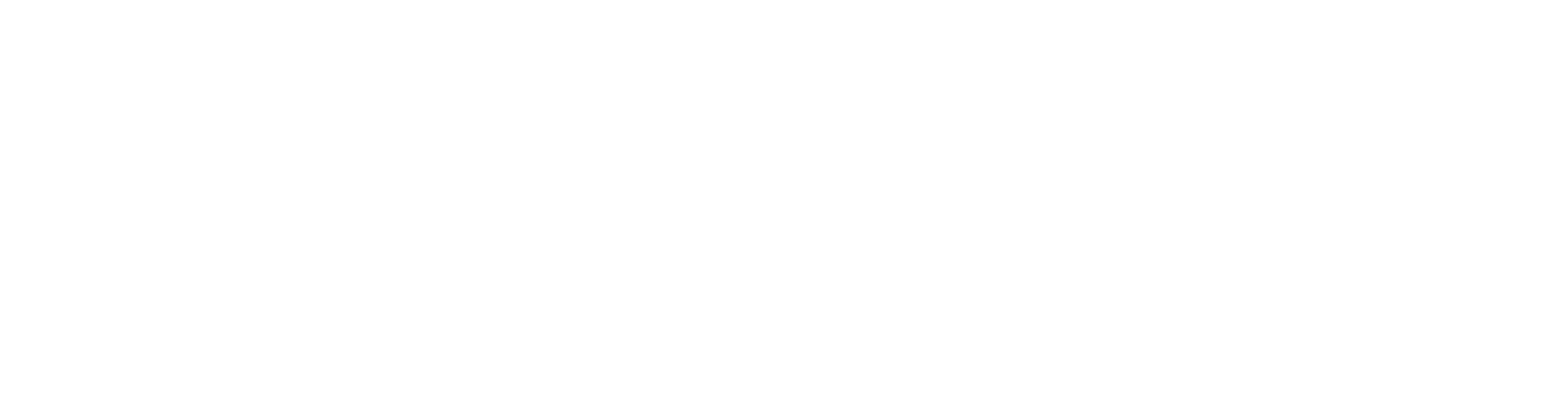 sintov logo